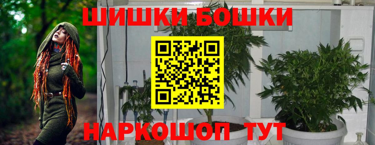 Зима  Шишки марихуана план  Бошки Шишки THC 21%  Канабис MAZAR  Вход с VPN 